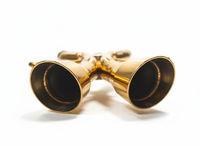 Mclaren P1 Sport Exhaust System