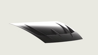 Carbon Fiber GT2 EVO Hood for Maserati MC20