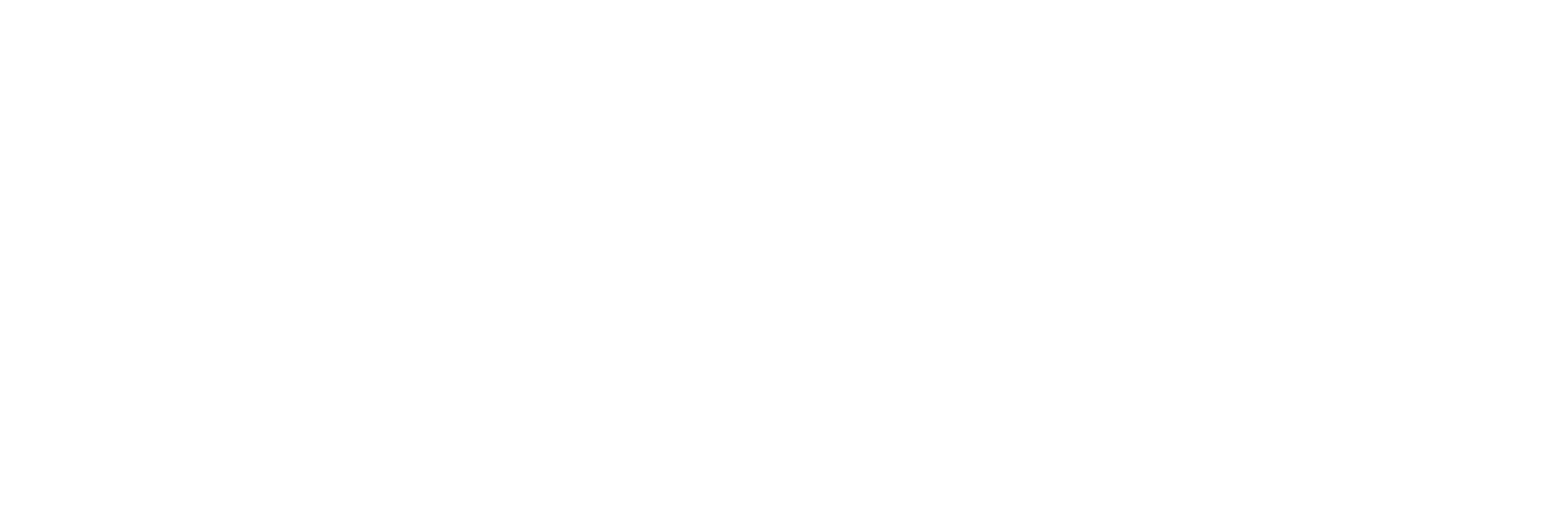 Formula Dynamics Logo