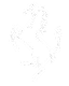 Ferrari logo